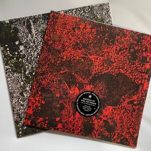 Two (2) King Gizzard and The Lizard Wizard NEW Live Records, One Special Price